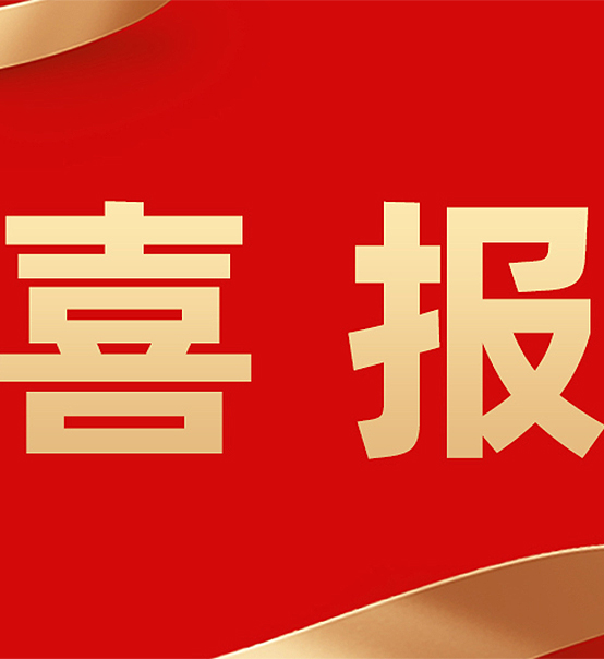 永利娱城app成功入选《苏州市第三批知识产权重点企业保护名录》！